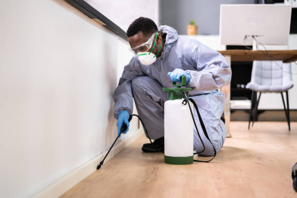 Best Pest Prevention Services  in Trenton, MI